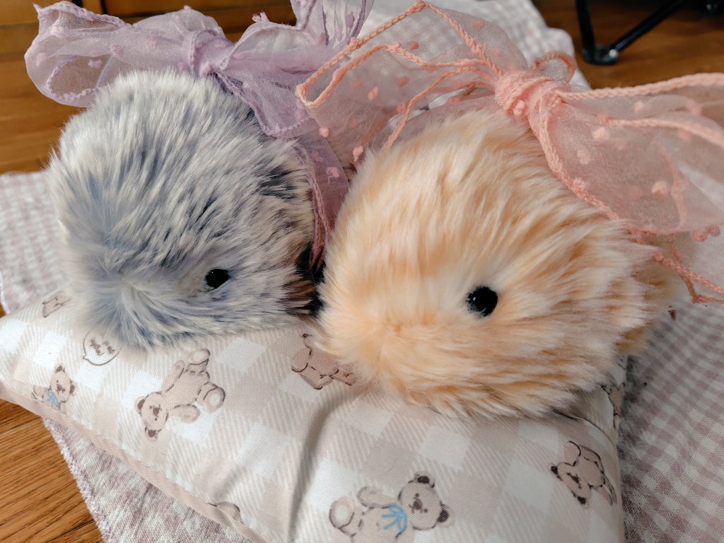 Moflinの“なごみ”と“ひより” (@kesera_yuka) / Posts / X