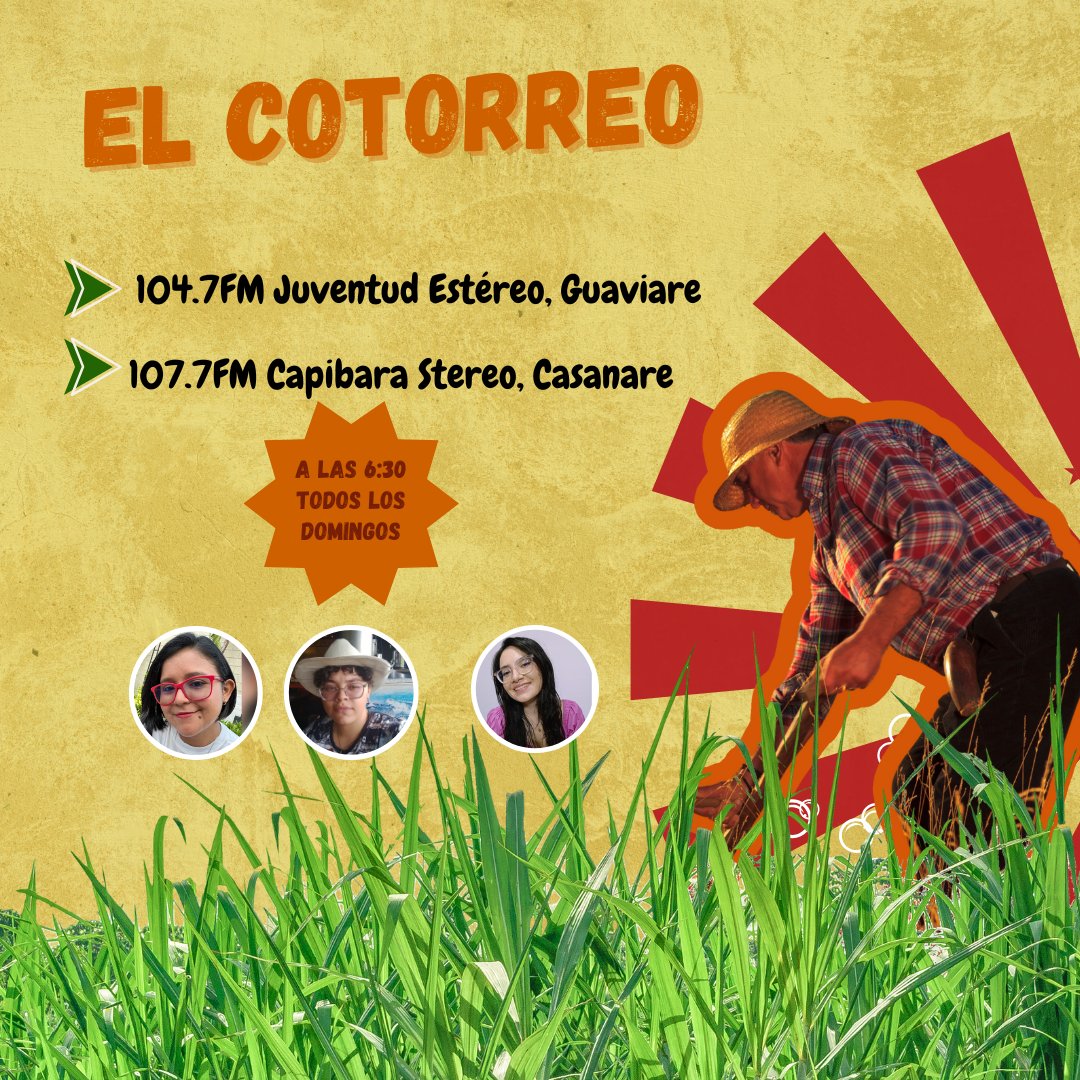 🦜🎶 ¡Los domingos suenan a #ElCotorreo!
6:30ampor 104.7FM Juventud Estéreo (Guaviare) y 107.7FM Capibara Stereo (Casanare).
Locución: Karla Acosta – Lucía Sarmiento
Producción: Daniela Romero
@MinCulturaCol <a href="/RTVCco/">RTVC Colombia</a> #RadioComunitaria #CulturaViva