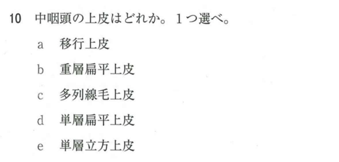 ロムニーハウス サマーハウス講座 プレミアム講座 年末講義 ファイナル