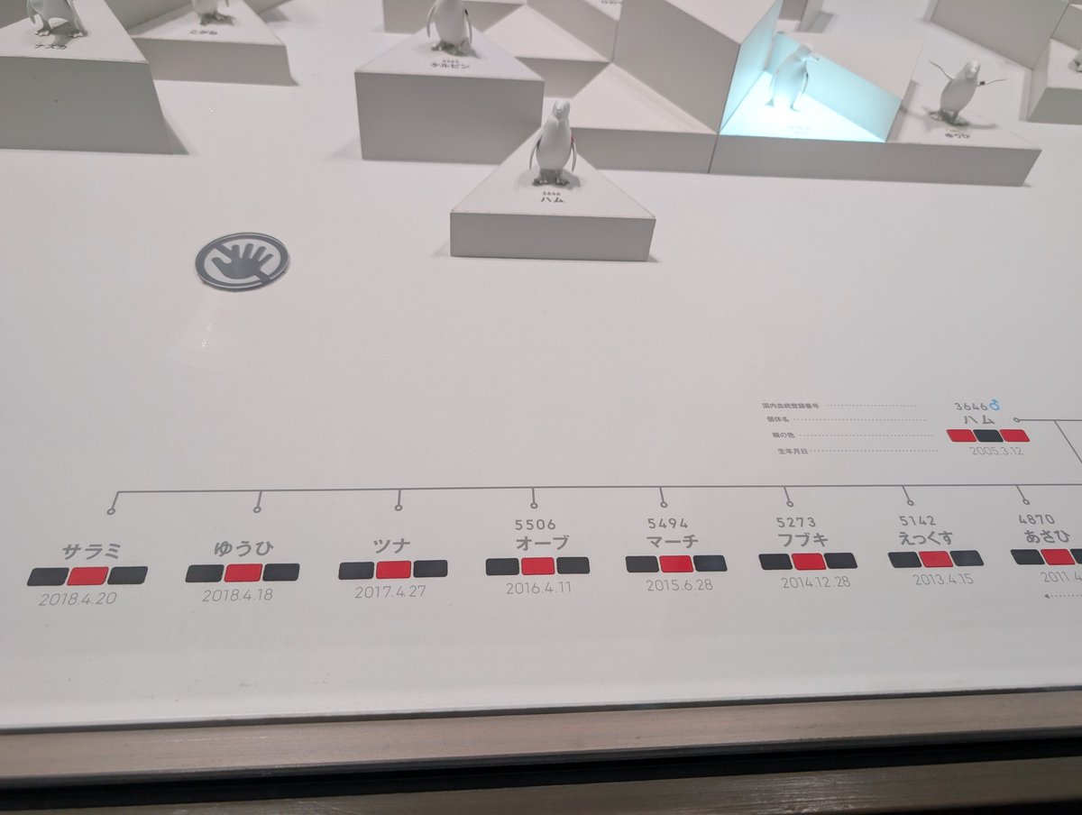 推せるペンギン居た。
かほちゃんと、DKはおらんかった。
ペンギンでNEEはむりだった、、、