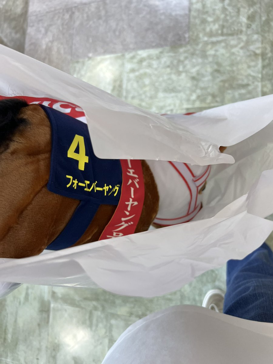 Zeld1217's tweet photo. なんとか取れて良かった😭 https://t.co/rjmE55DvU1