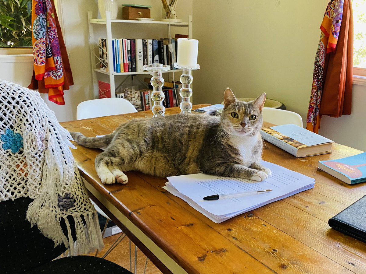 RBurtonWriter's tweet photo. Hmmm. I thought writer’s cats were supportive of writing?? This one… not so much!!
#Writer #cats #WritingCommunity #writerscat #writingdistractions https://t.co/J9Lksj3H81