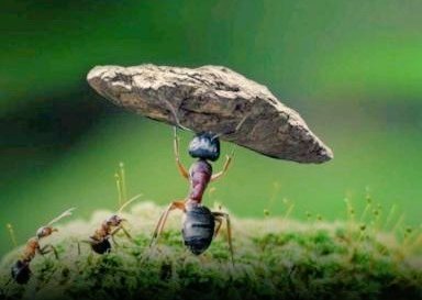 S N Patel tweet media