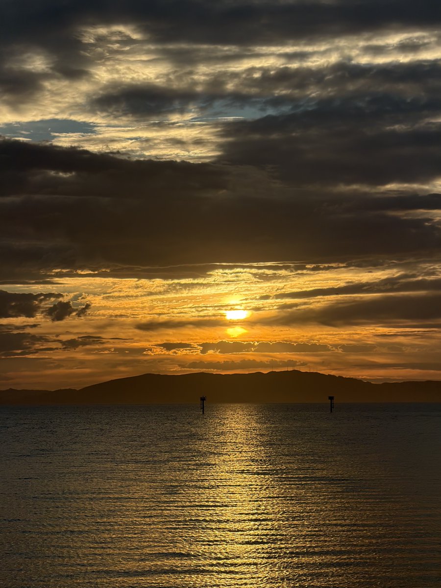 Jason Chin tweet media