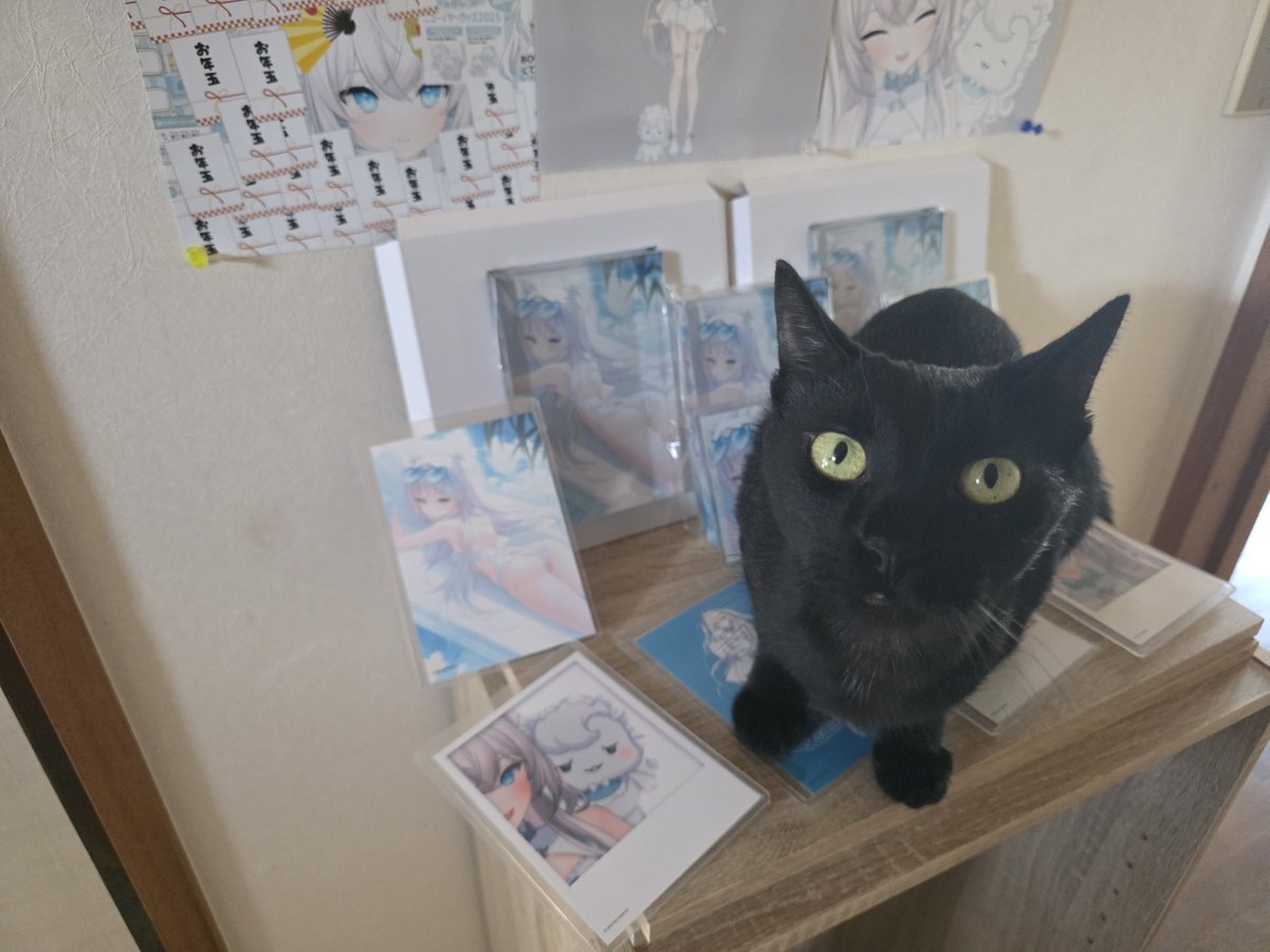 ぺ棚許せなかったみたいや