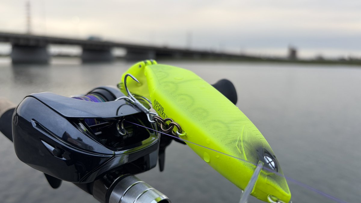 極⭐︎です。 yo-ko(ヨーコ) (@yokotv_fishing) / Posts / X