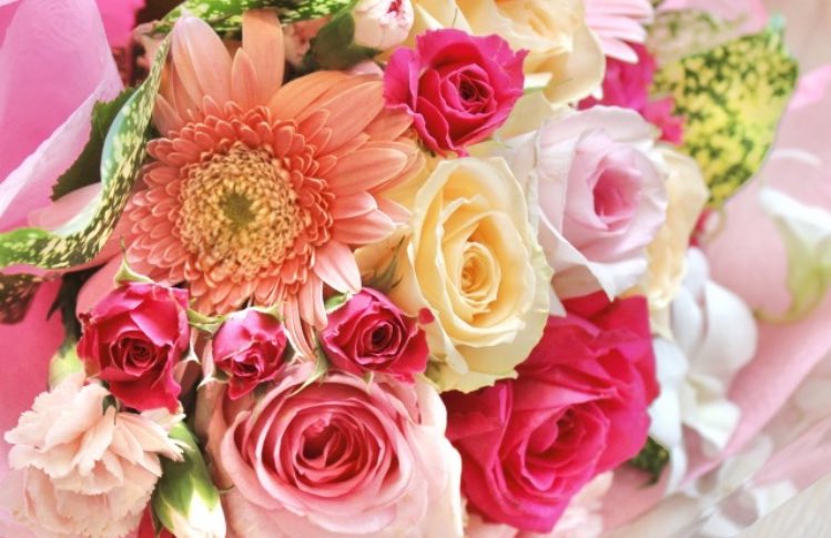 ＊
2025年9月25日(木)大安

皆さま·͜·ᰔᩚ🌹
こんにちは🍹𓈒𓂂𓏸

大阪は  曇り時々雨  23℃〜28℃
雲が主役の空
折りたたみ傘を
(ｳｪｻﾞｰﾆｭｰｽより)

エアコン切ったら蒸し暑いです💦

最近はトンボがたくさん飛んでますね

良い午後過ごしてくださいね🐱♬.*ﾟ

#Love #Peace #Smile