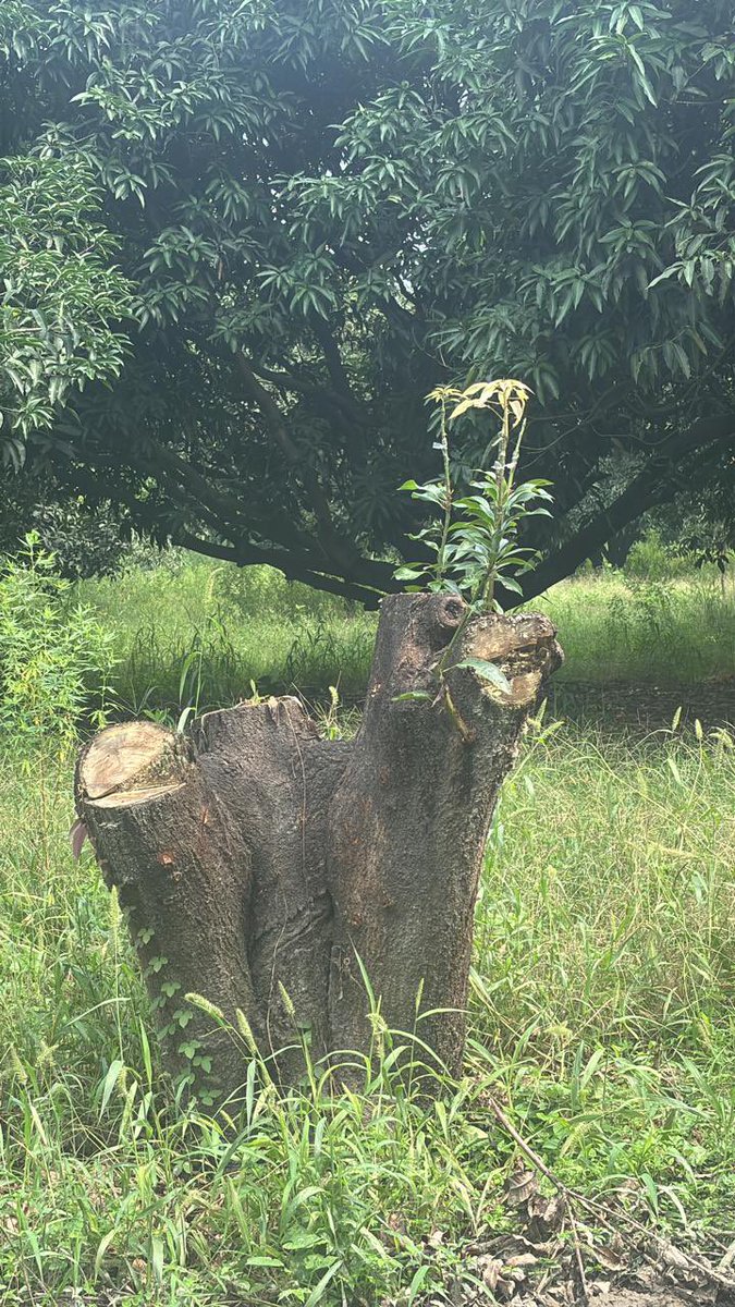 Ravi Gopal Singh tweet media