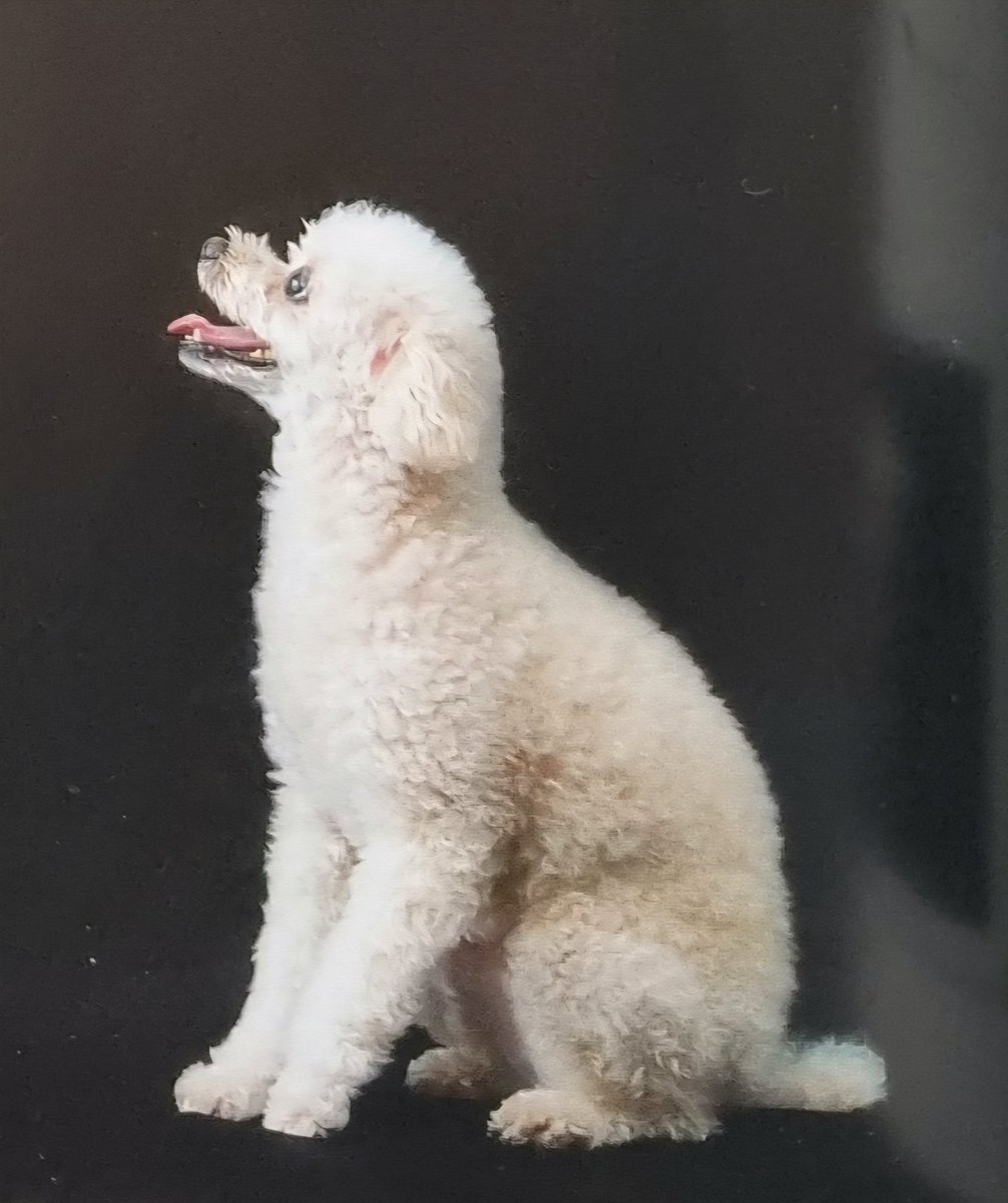 KYH_Global's tweet image. [PREVIEW] Esquire Korea "Wellness" Magazine October issue #YOUNGHOON &amp;amp; Bori

cr. dream9chair0 
더보이즈 영훈 #더보이즈 #영훈 #THEBOYZ #더보이즈영훈 🍞