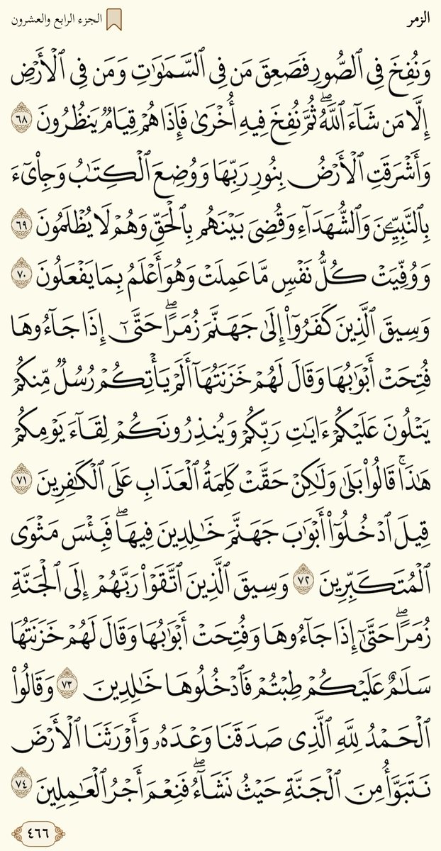 Shereef_Wagih79's tweet image. صباح الخير......ورد الخميس