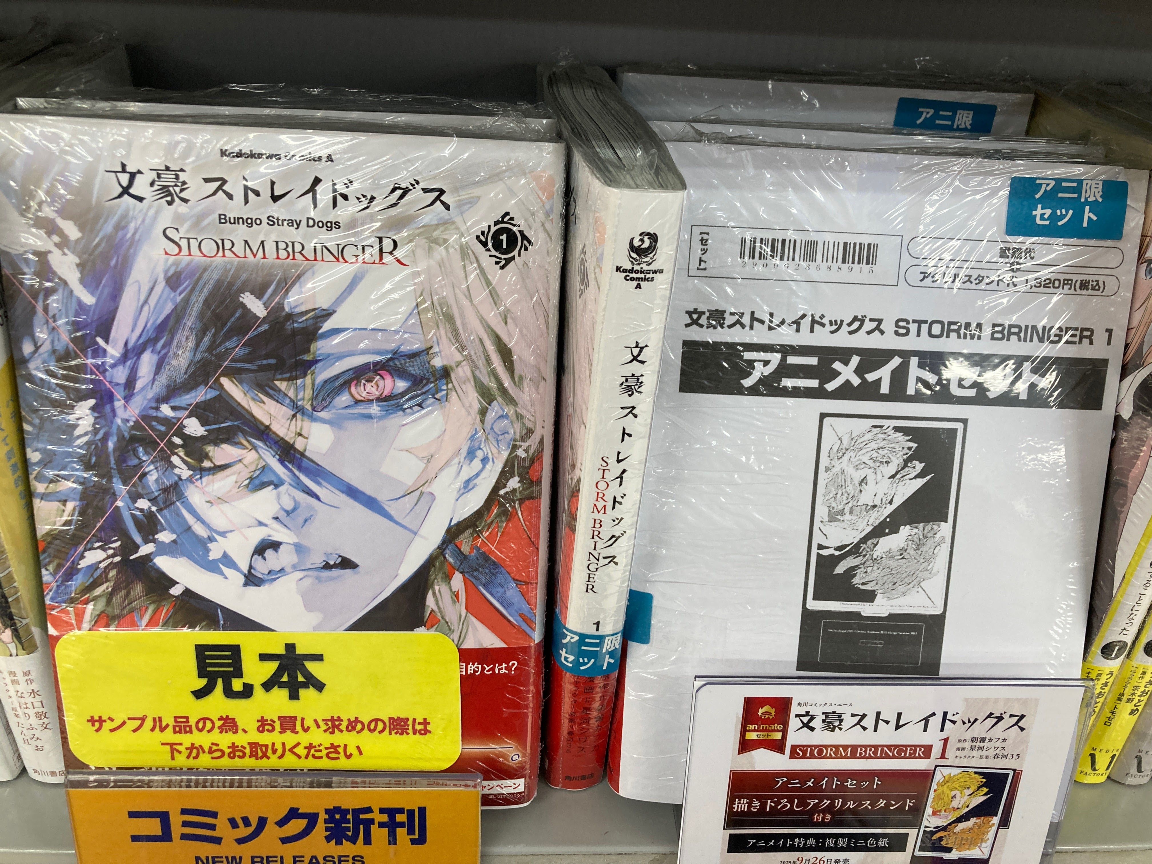 氷菓 アニメイト 特典 描き下ろし スリムポスターバインダー＋ポスター9枚セット 氷菓 アニメイト 特典 描き下ろし スリムポスターバインダー＋