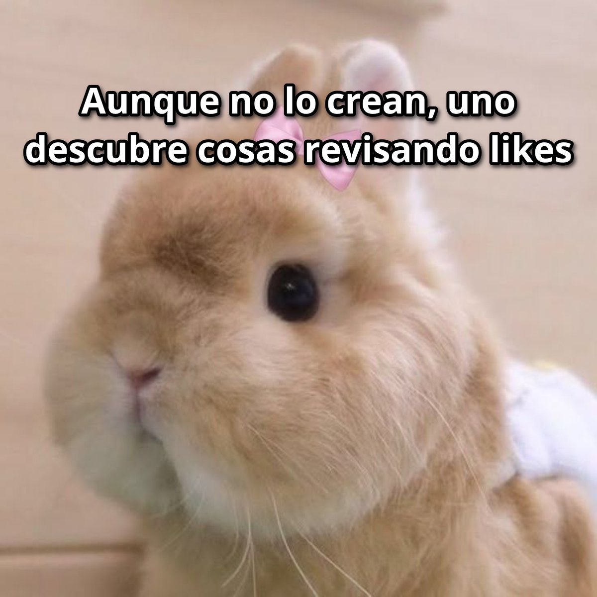 Neta neta.