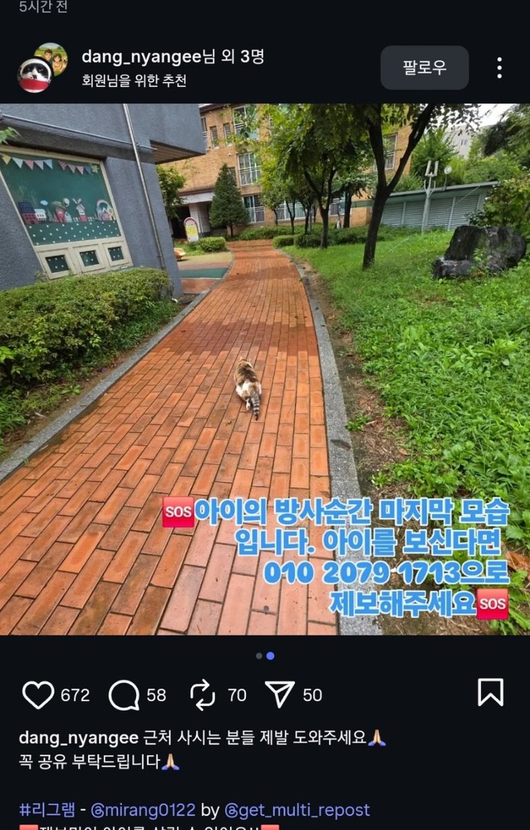 김포 양곡에서 주인사망으로 보호소에 들어간 고양이가 방사된 모양입니다. 하....정말 할많하않이고요, 일단 구조시도하는 분이 계신것 같은데 아이가 어디로 숨었는지 못찾나봐요. 근처 사시는분들께 닿도록 트위터에 올려봅니다. 
인스타링크로가면 전화번호있어요
instagram.com/p/DO8OBjriSNz/…