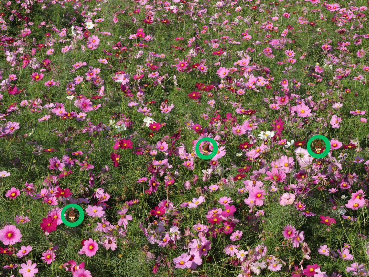 たけ里ブラザーズ on X