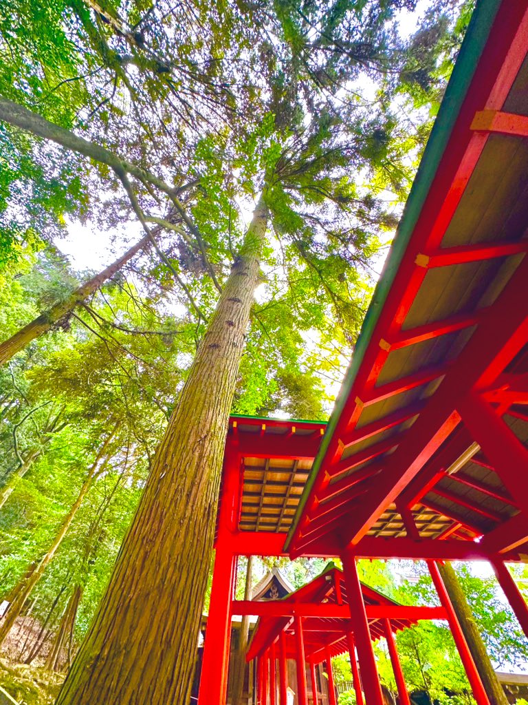 シェリー (@PSdceZuWHh6SPjj) / Posts / X