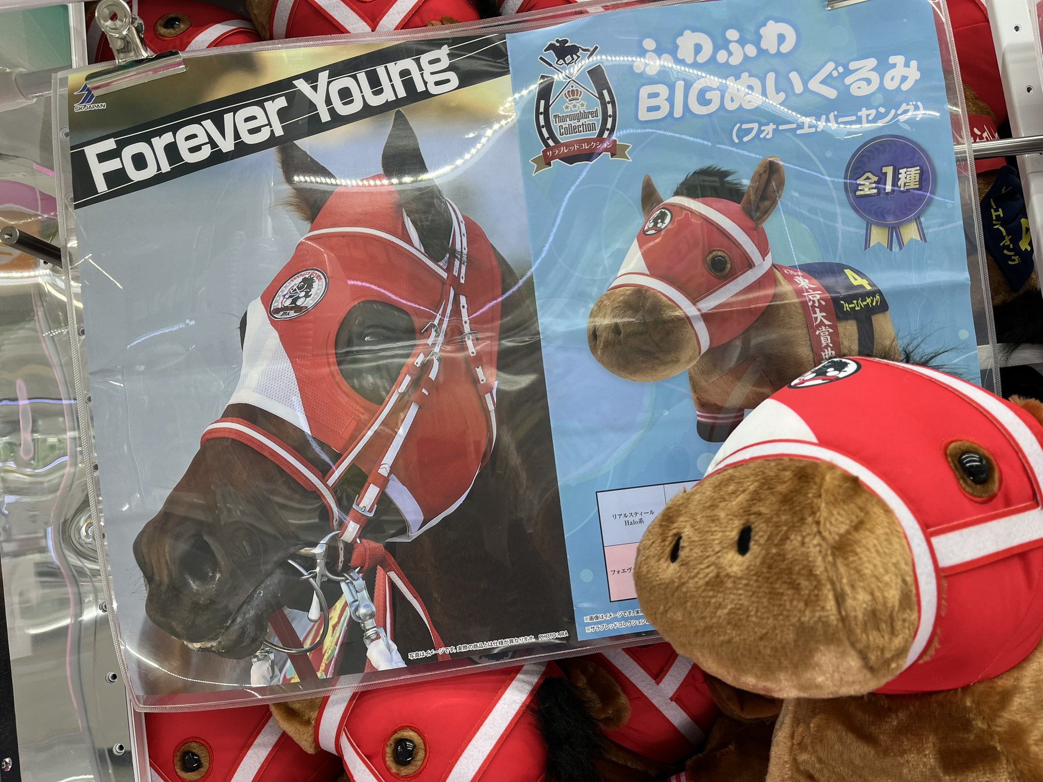 サラブレッドコレクション フォーエバーヤング フォーエバーヤングぬいぐるみ Amazon.co.jp: フォーエバーヤング サラブレッドコレクション