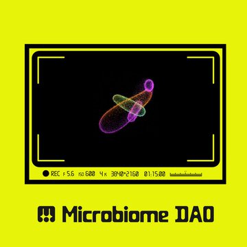 tuivicp's tweet photo. Back engage time
Nice day with @BioProtocol + @D1ckDAO
They are true hidden #DeSci gems.
🧬 Stake $BIO → earn XP → convert into $BIOME
📷 Gut data → AI insights → yield 📷
#DeSciLaunch https://t.co/AUS2rUINZD