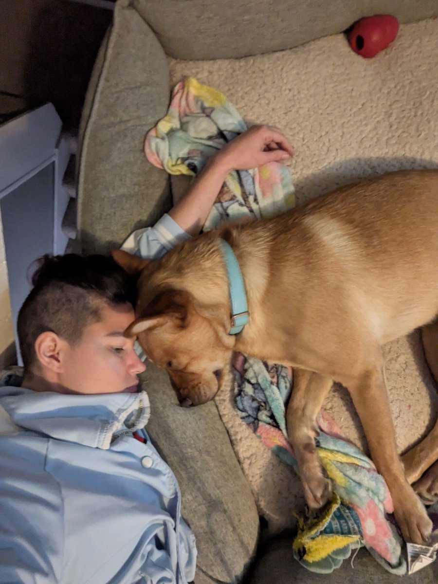 potatobunstu's tweet photo. What's been a touching pet moment recently been for you?
I invaded my dog's space just for her to rest her head on my forehead and fall asleep.
It's times like these that I truly feel a deep sense of love.
#PetLove #CuddleMoments #FurryFriend #DogSnuggles #Heartwarming #dog #p https://t.co/pJI7o8v4eb