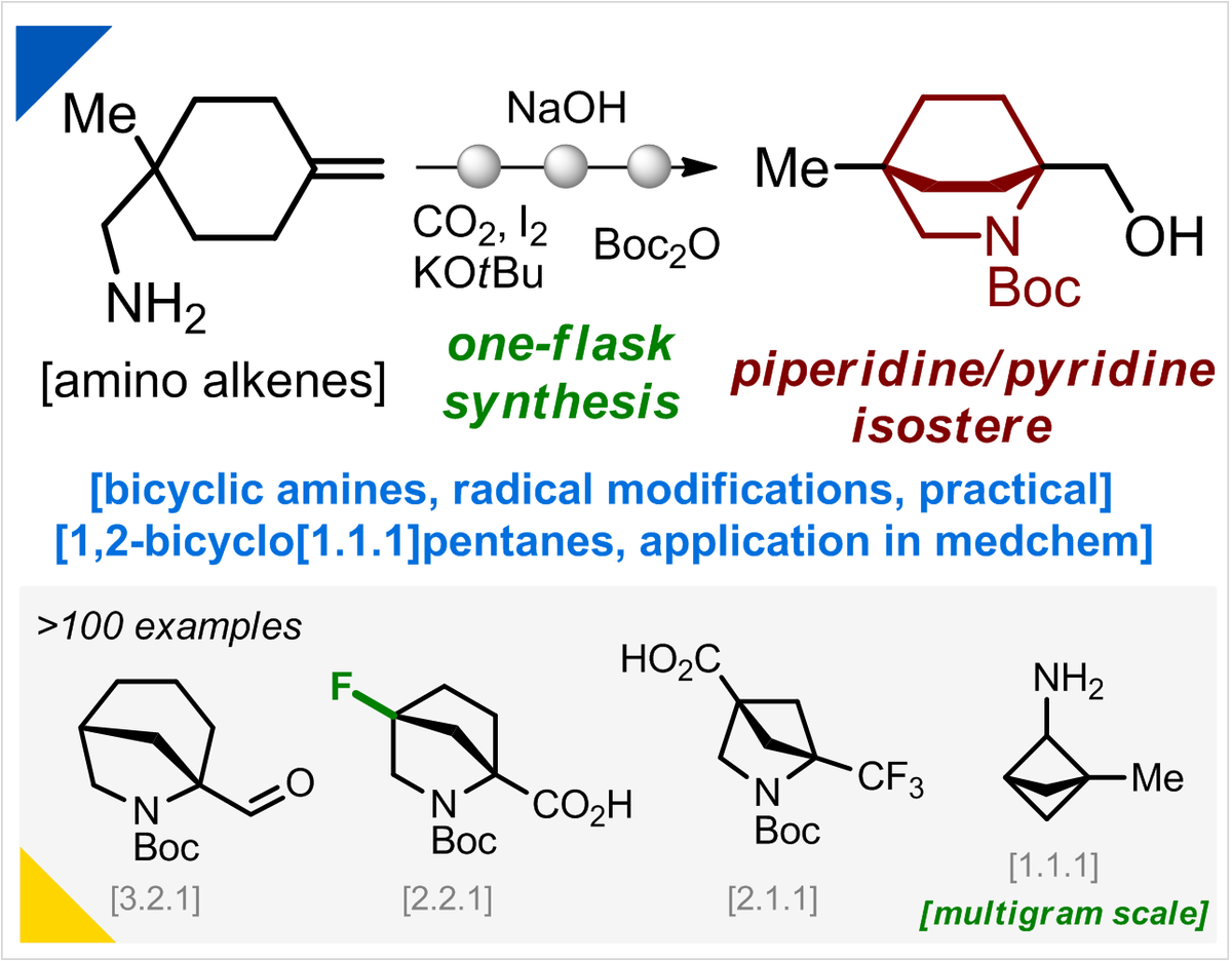 MykhailiukChem's tweet image. Today, we disclose a general scalable approach to azabicycles and 1,2-BCPs!
In @angew_chem: bit.ly/4nHqRz3
