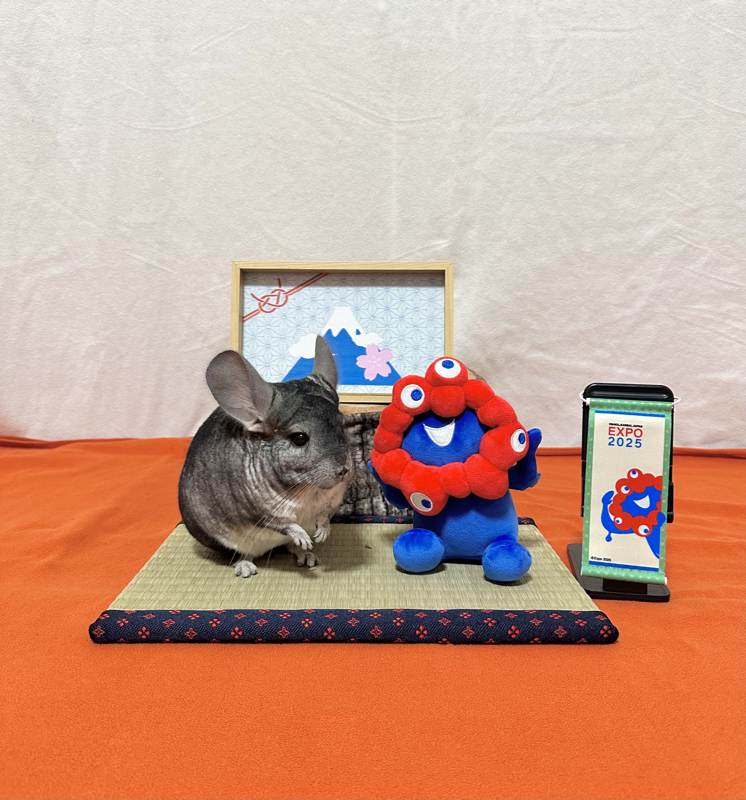 けいこっこ adidas ObyO KZK “COPEPAN” | SHOES MASTER