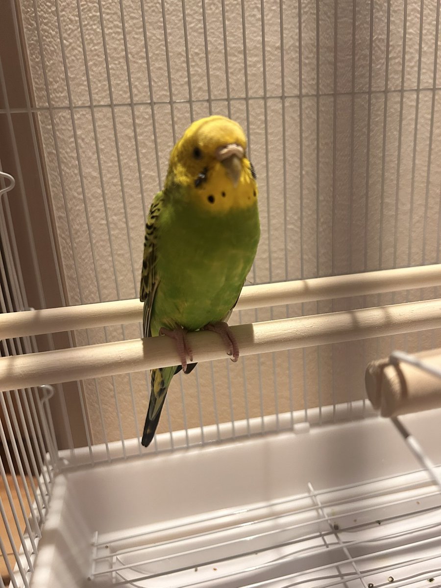 迷子 ページ 6/t0000 - Trails in the Database