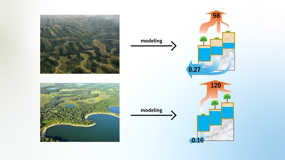 記者発表】丘から谷への水の流れが気候を変える？――斜面水動態・植生