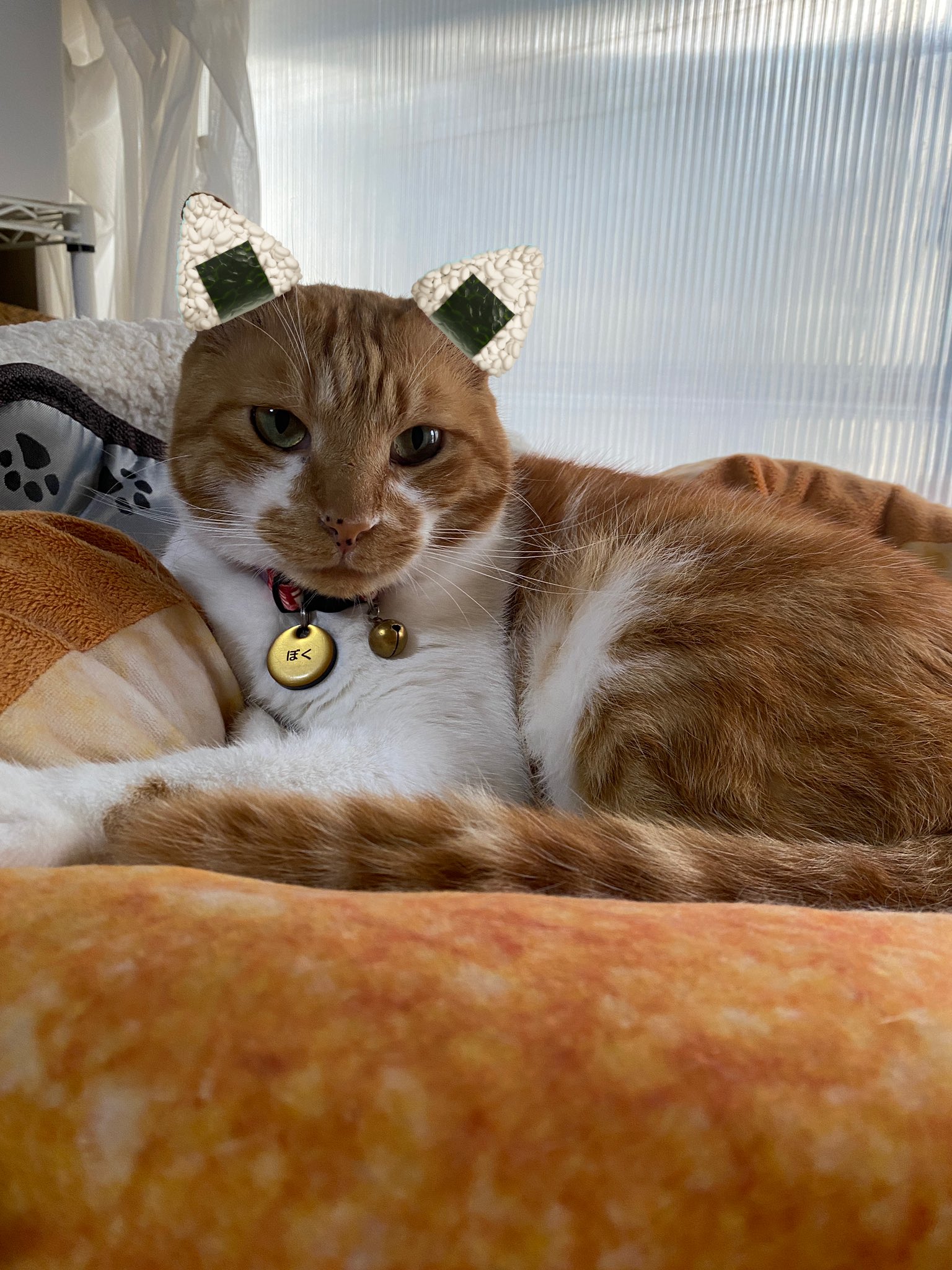 ネコ バイク と サイドカー 猫 と ねずみ 置物 オブジェ ネコ ねこ
