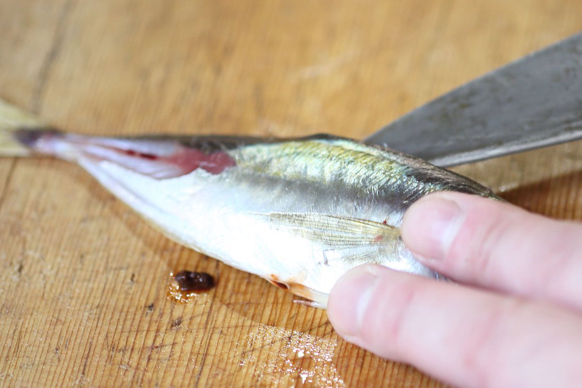 男には、立ち上がれないほど疲労困憊しても小アジを下拵えしなきゃならない夜がある。女にだってあるだろう。そんなときは「洗わず背割りアジフライ」を試してほしい。①まずゼイゴを取る②頭をつけたまま右半身を剥がす。刃先が腹骨に当たったら腹骨に沿ってかわし、皮一枚残す③左半身も同様に処理→