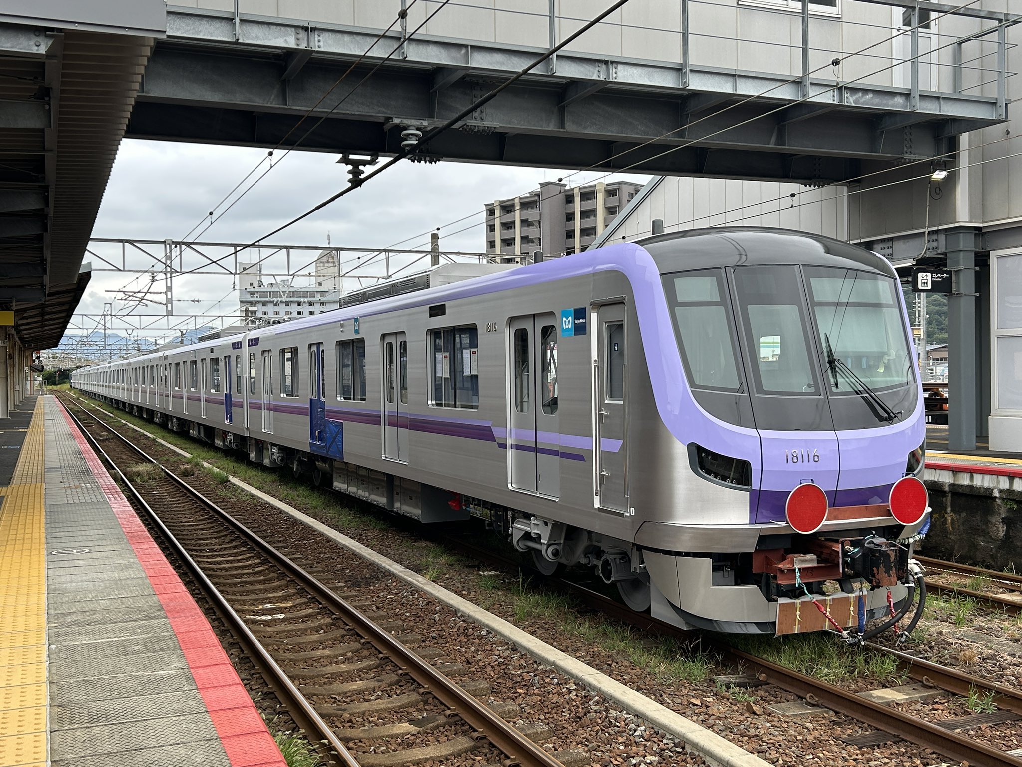 鶴の旅人 on X: 