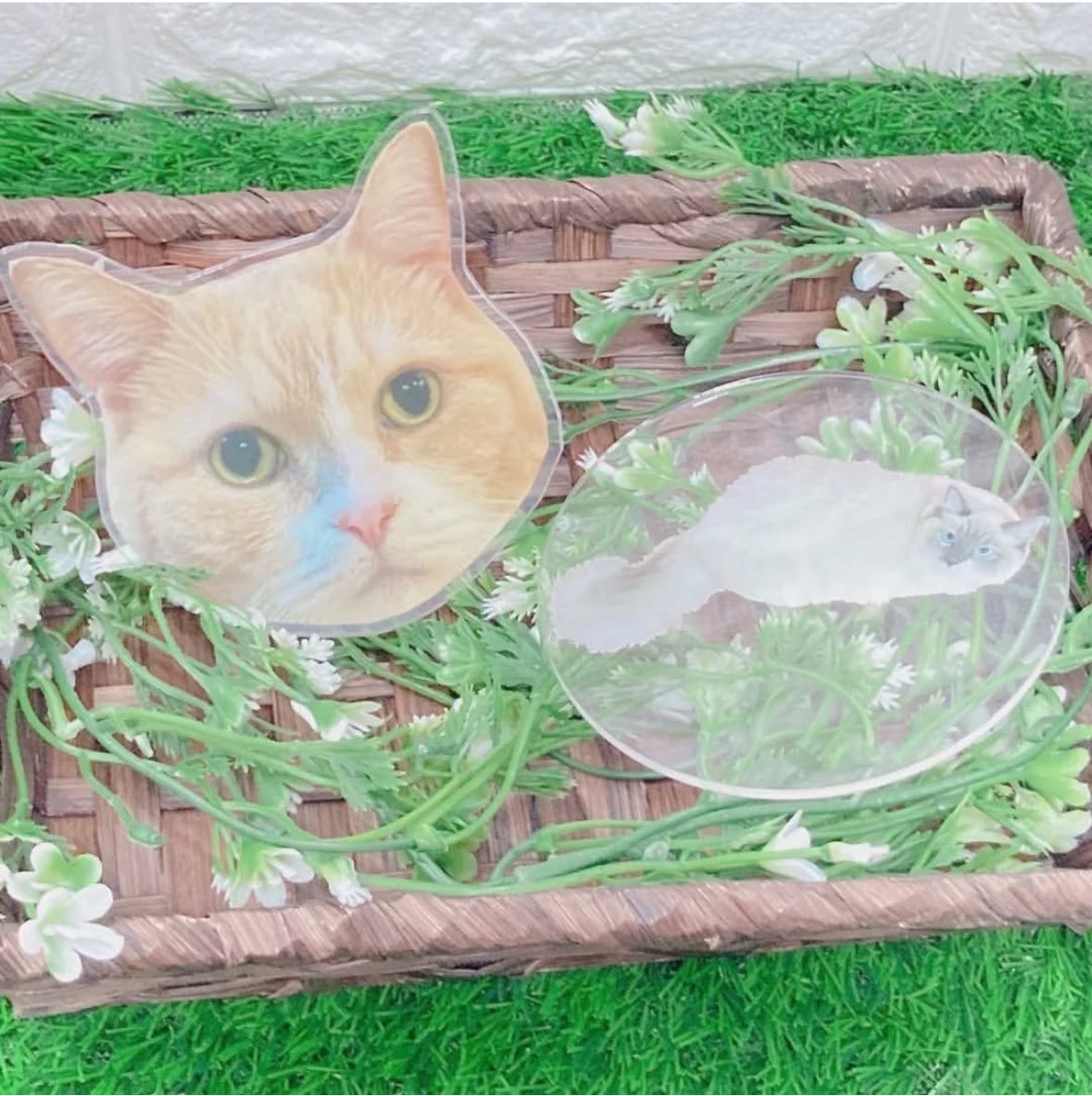 TpLabo's tweet photo. こんにちは🌱東京パックオリジナルラボです🐘

おうちの猫ちゃんやご家族の写真で作れるコースター🍒◎
使ってもよし飾っても良し︎👍🏻 ̖́-

お好きな写真で作れます📷✨

商品一覧に無いものもDMにてご相談下さい🎶

ECサイト
https://t.co/NgQ5tkzB40

 #アクリルスタンド #アクスタ #揺れるあくすた https://t.co/owDQOdnK06