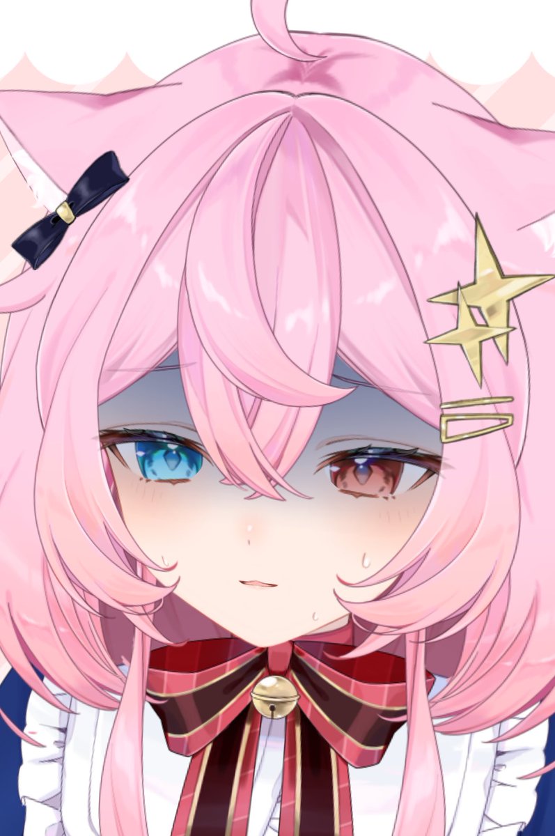 ⑤猫の日♡限定m(=✧ω✧=)m✧ ✧ ✧ 白猫♡白猫　猫ひな人形 猫の雛人形=ↀωↀ= Cat Hina Doll Cosutume - YouTube