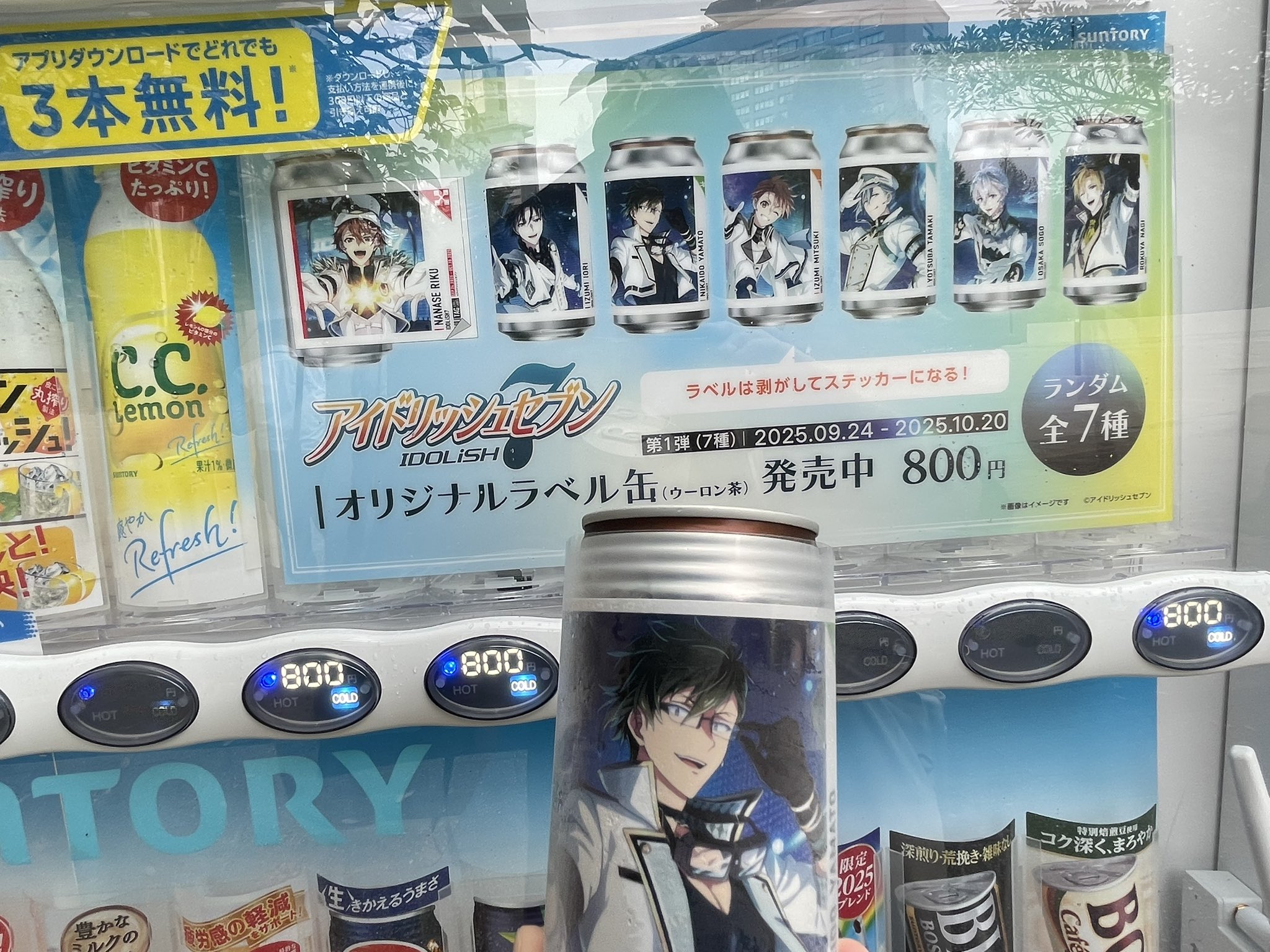 バレーボール日本代表 オリジナルラベル缶 ウーロン茶