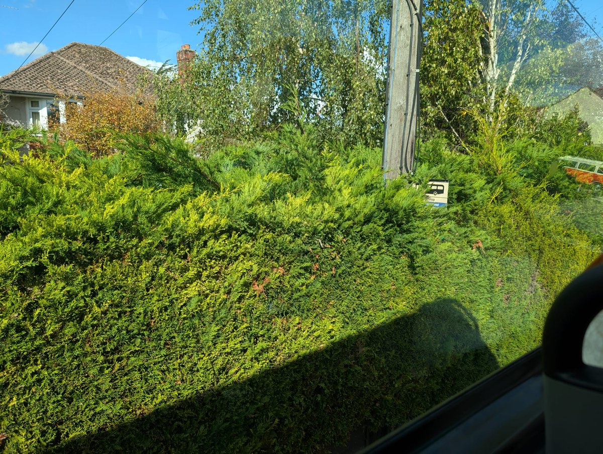 Somerset Bus Partnership @somersetbuspart.bsky.soc tweet media