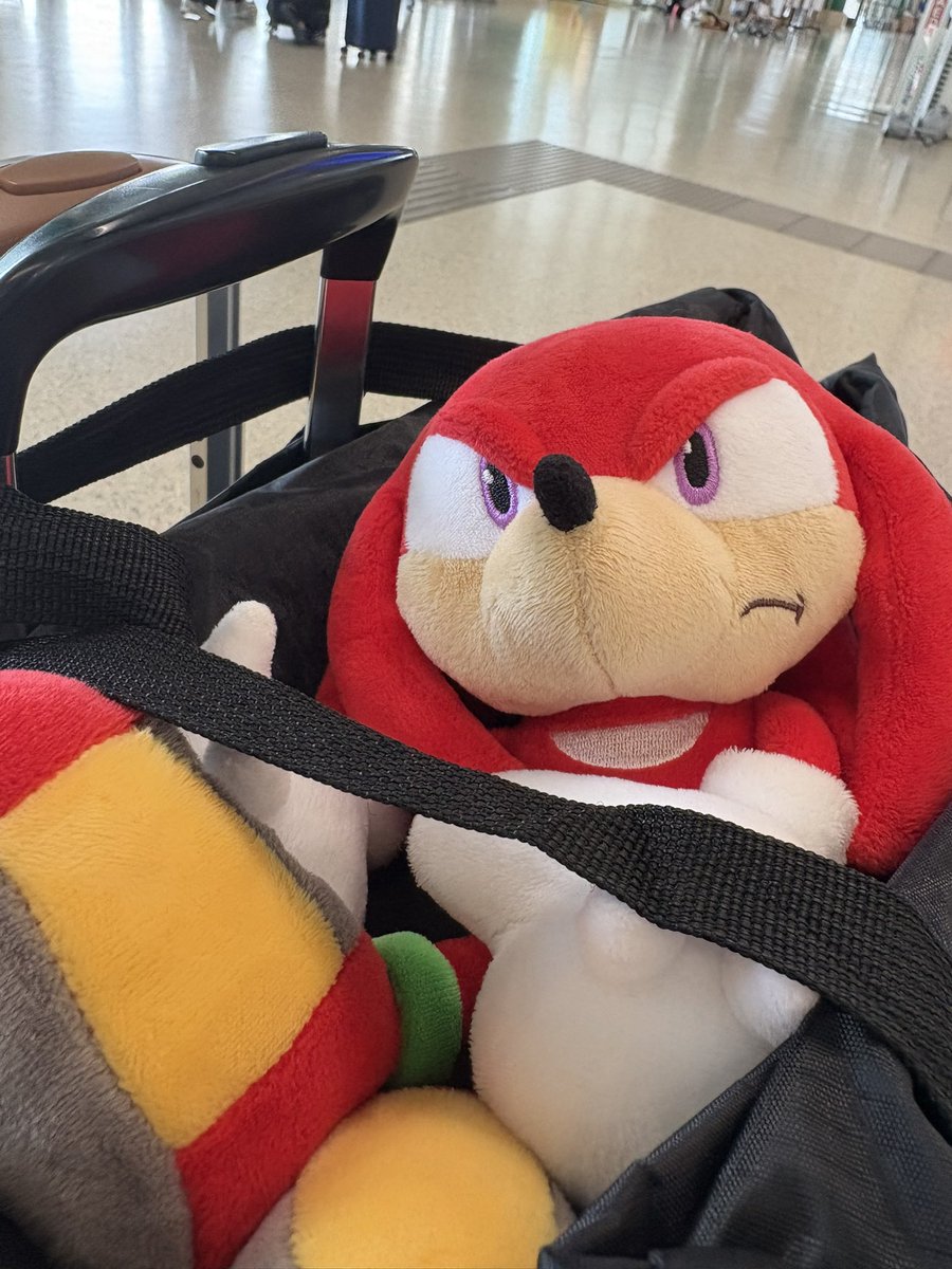 飛行機まで少し時間あるね