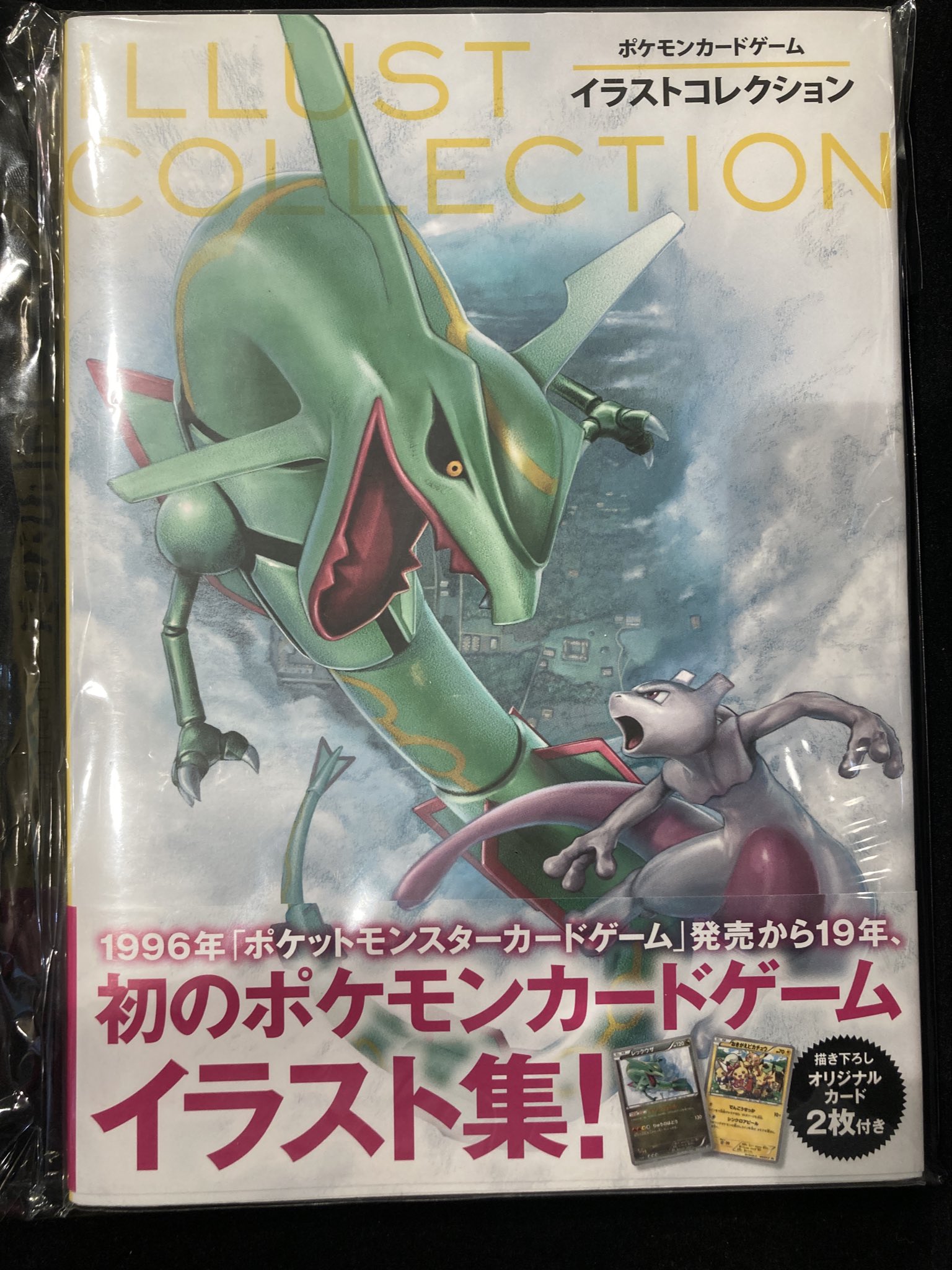 ポケモンカードゲーム　イラストコレクション　プロモ　ポケモンイラストコレクション Amazon.co.jp: ポケモンカードゲーム イラストコレクション