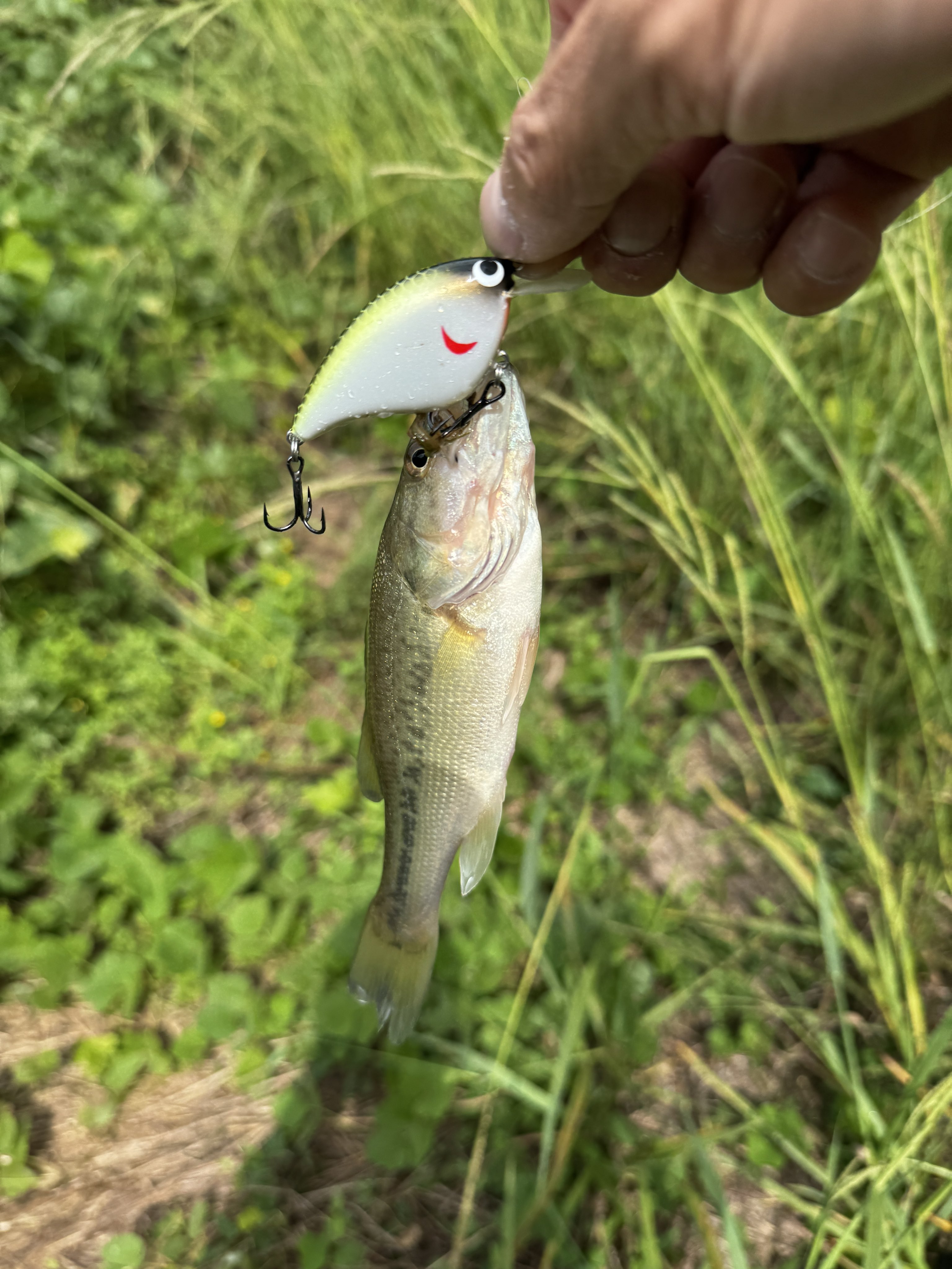 Nishine Lure Works (@Beatour27) / X