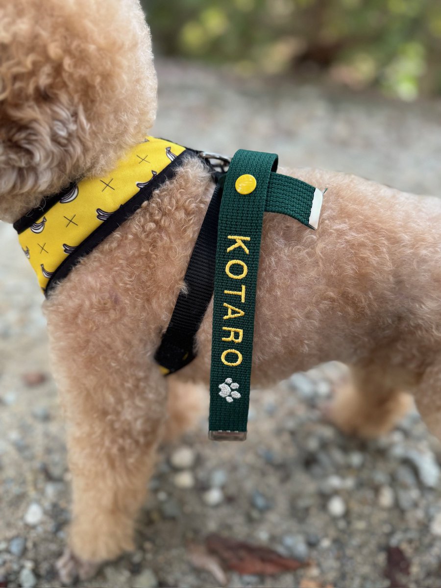 愛犬の名前入りオーダーチャームが作れるよ🐶🎗️なんと！期間限定で、ぷにぷに感が可愛い💗肉球モチーフ🐾が付けられるヨ！！

#LABNAME #ラボネーム #ネームタグ
#ネームチャーム　#nametag