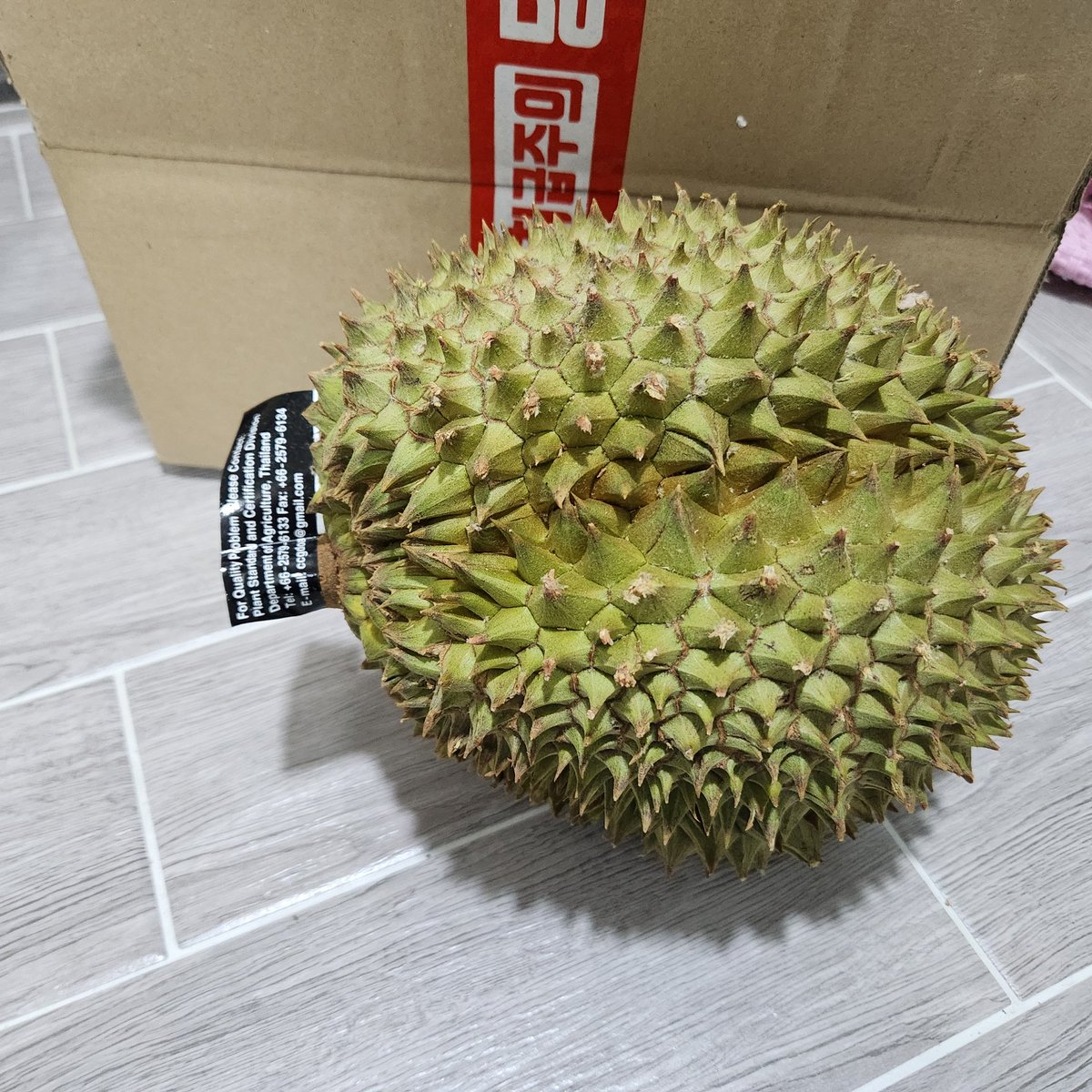 갑자기 문자와서 배송온다길래 ??하고봤더니 두리안..?나 뭐당첨됐나?아닌데?뭐지?이여름 살짝 건드려봤더니 바로 반응오던데...아니..지금집에 두리안냄새밖에 안나요...책임져..결국 개봉했다가 후회중...엄청난 냄새를 풍기는중..진짜 미친이여름!!생일선물을 누가 두리안으로 주냐고!
<a href="/HB_010613_/">여름</a>