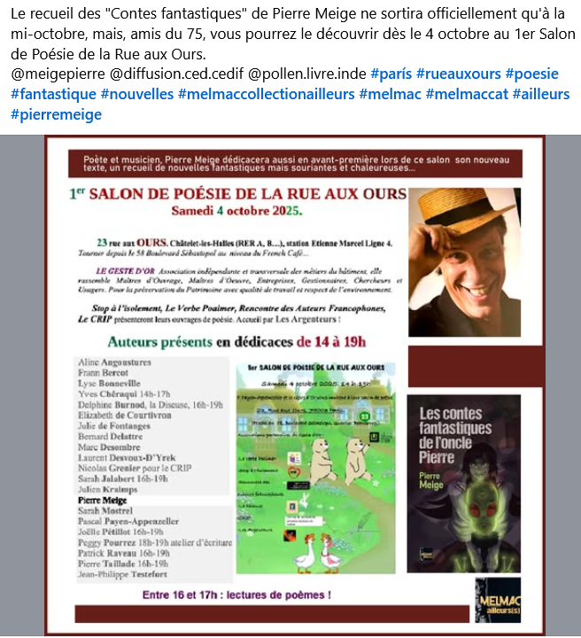 themelmaccat's tweet image. #moisdelimaginaire2025 #cedcedif #melmac #melmaccollectionailleurs #melmaccat #pierremeige