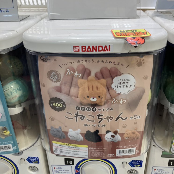 ⭐️入荷案内⭐️

#ピーナッツクラブ

🛟#お風呂大好きカピバラ浴場ぬいぐるみ♨️

🛟#てのひらサイズのこねこちゃんぬいぐるみ🐱

⚠️完売の際はご了承ください🙇🏻‍♀️

#ガチャガチャ
#CAPSULEPOPmini