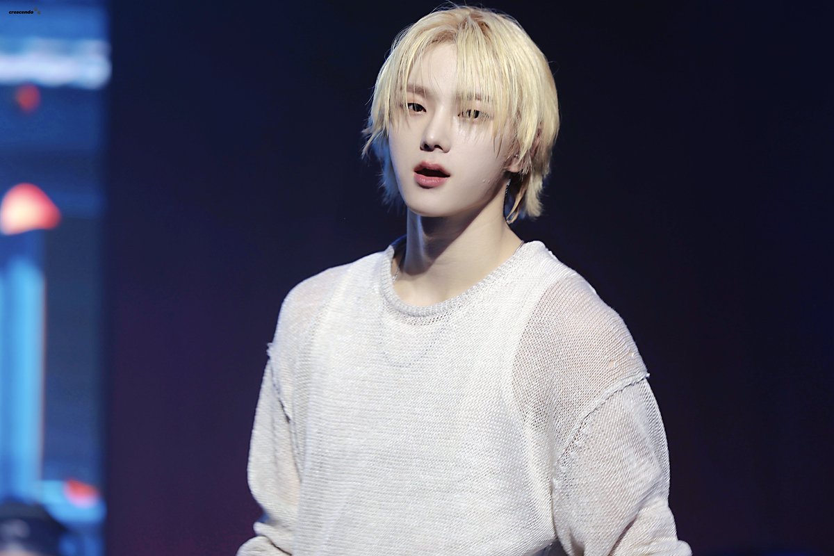 크레셴도 tweet media