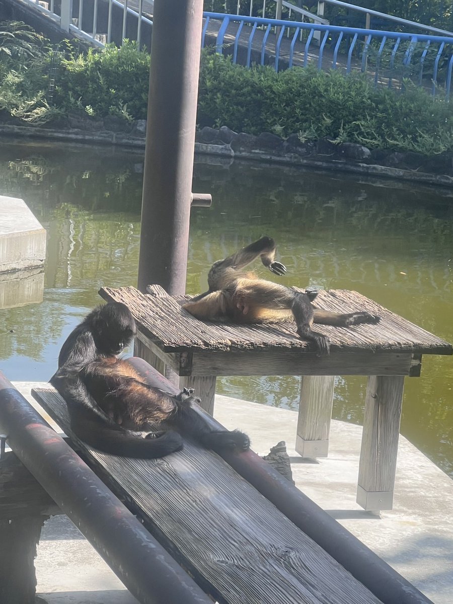 希少 未開封 訳あり　キティパン❤︎ ハンパンダ ✖︎キティ　野田凪 2004年 希少 未開封 訳あり キティパン❤︎ ハンパンダ ✖︎キティ 野田