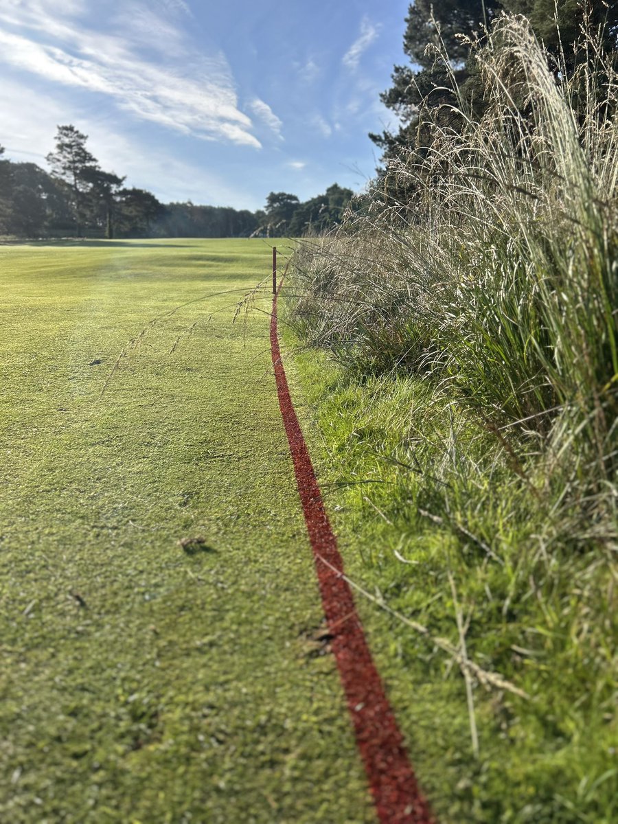 Grant Peters tweet media