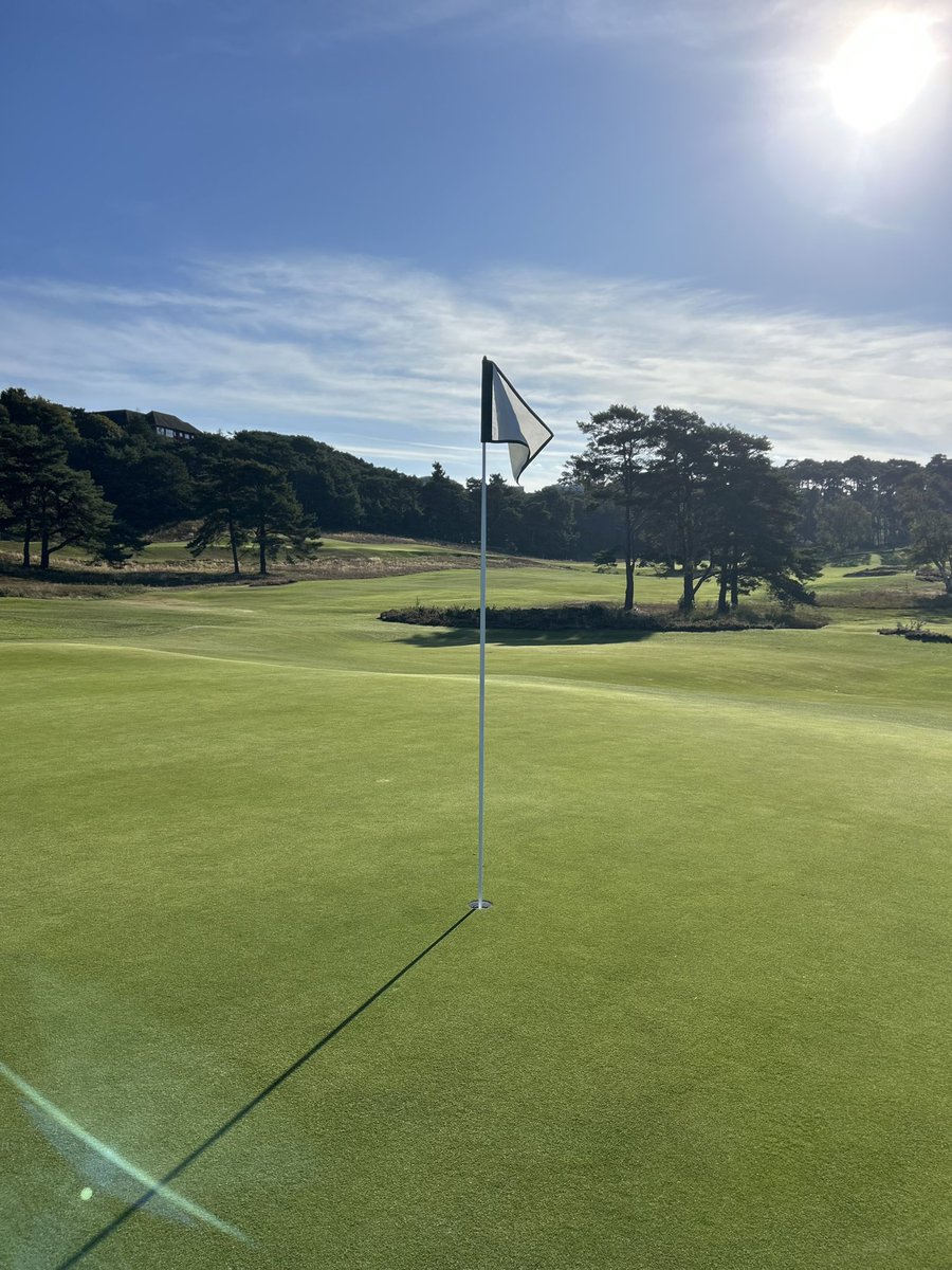 Grant Peters tweet media