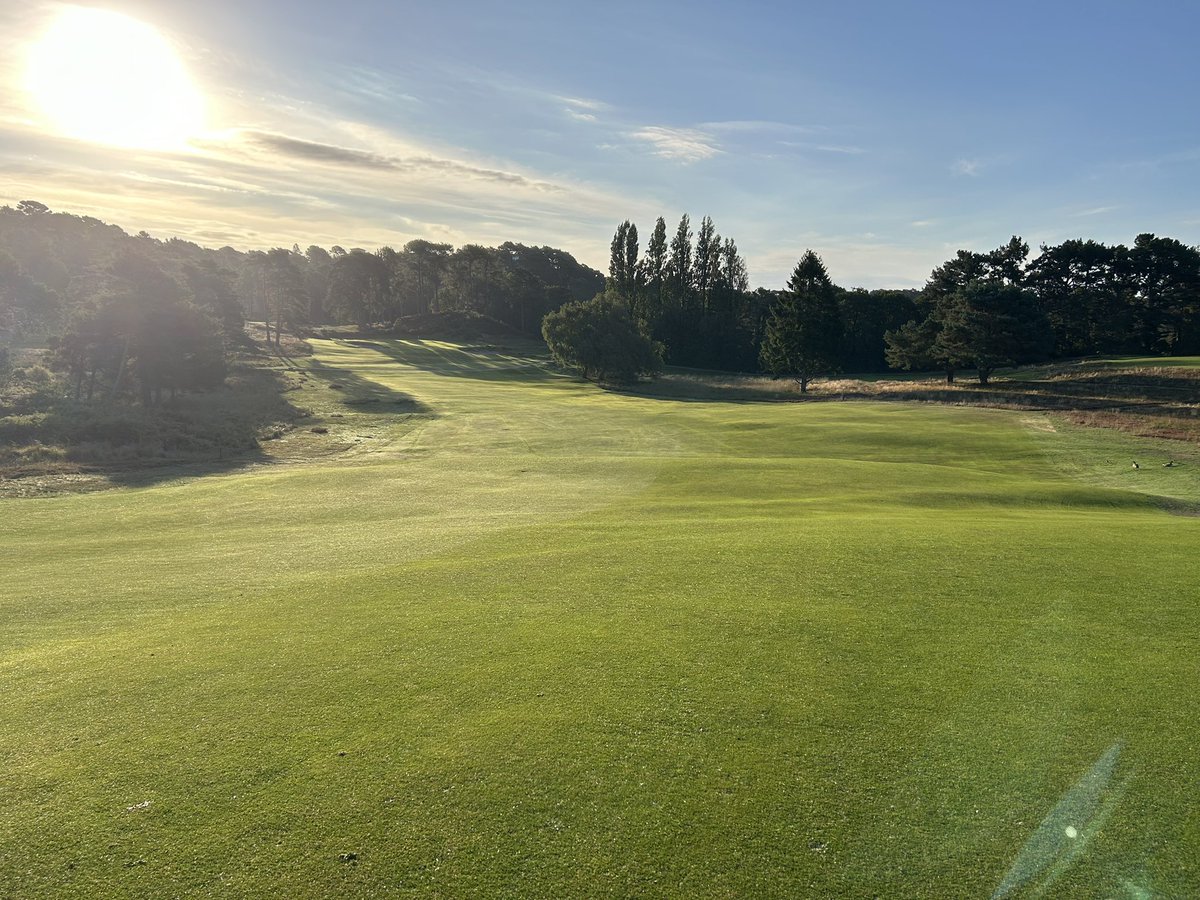 Grant Peters tweet media