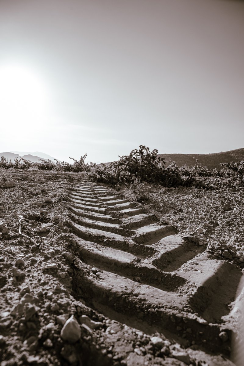 En Jumilla el suelo es arenoso y calizo.
Drena, guarda lo justo y obliga a la viña a resistir.
De esa dureza nace el carácter de nuestra uva.
El mismo que define a Carchelo.

#Carchelo #SierradelCarche #Jumilla