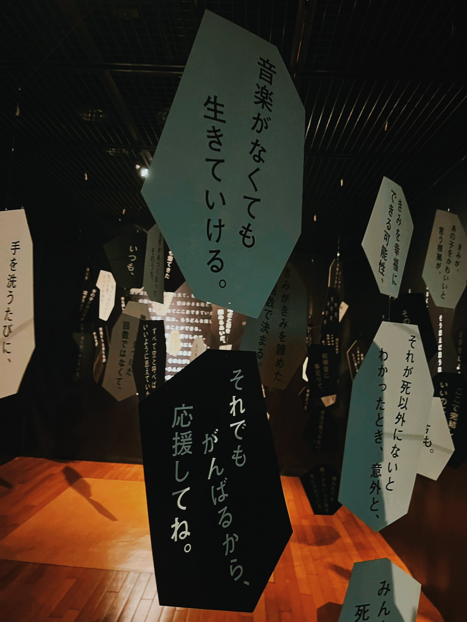 ぱりぱりさらうどん (@8risara) / X