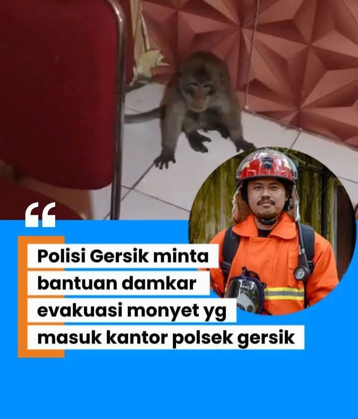 Eh gimana gimana ...??