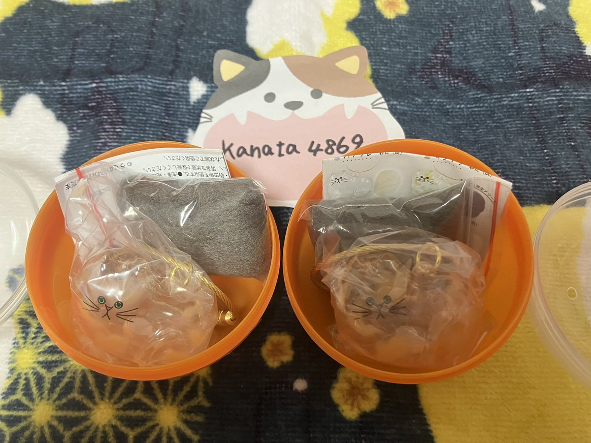 kanata4869's tweet photo. 【交換】うちの子のけだまだま 正規品

譲：サビ猫×2

求：茶トラ、キジトラ

郵送のみ。
※個人情報交換前にDMにて底刻印の相互確認が可能な方でお願いいたします

検索からもお気軽にお声かけください！ https://t.co/672wCTISNP