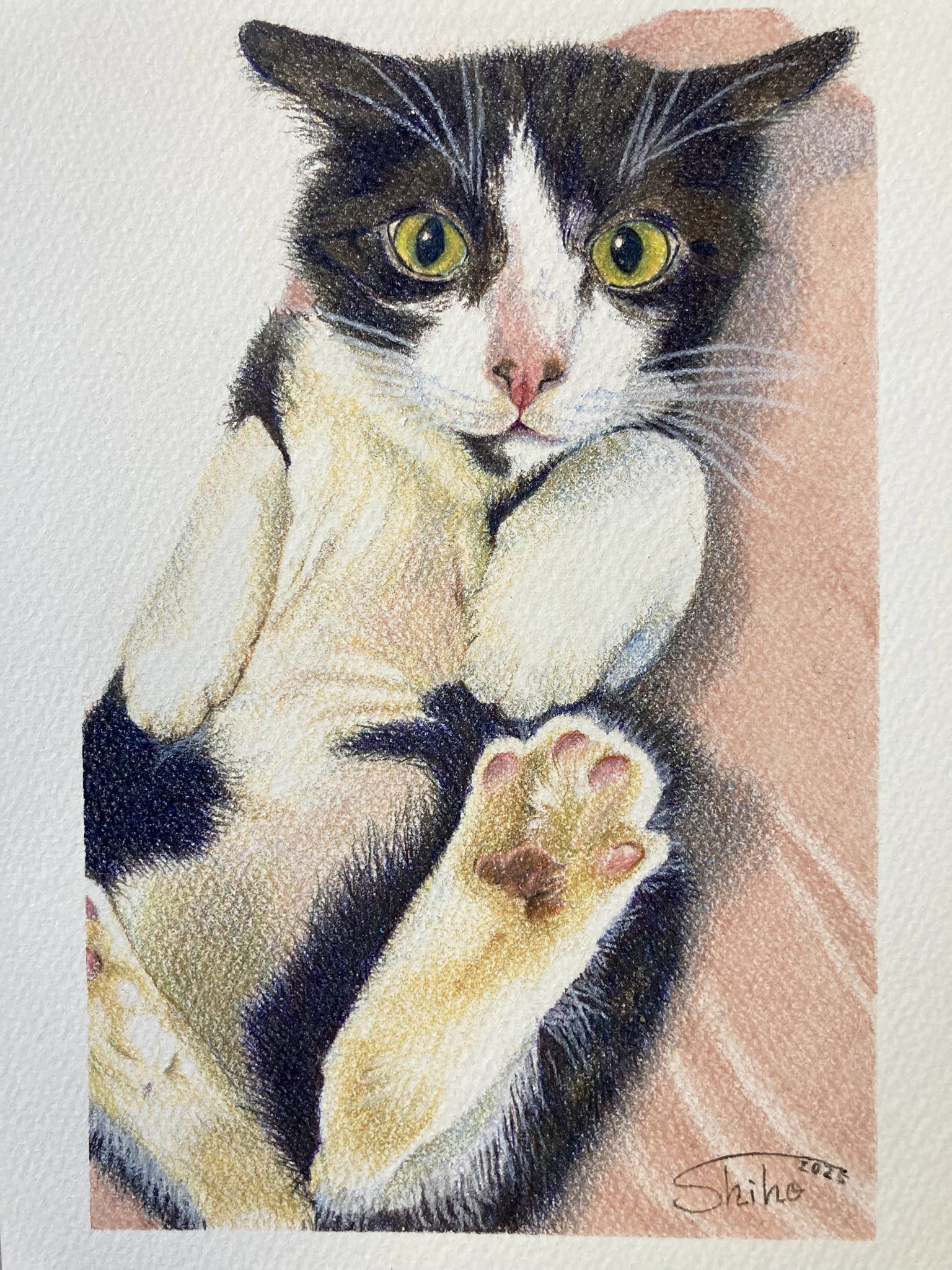 専用　色鉛筆画　原画　オーダーページです 専用 色鉛筆画 原画 オーダーページです